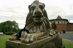 Tux by a Lion